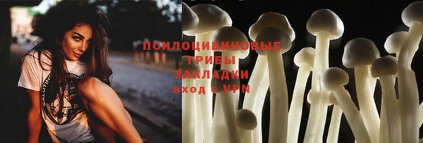 ECSTASY Медногорск