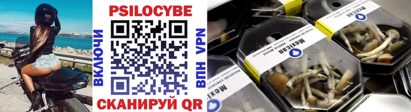 закладки  Перевоз  Псилоцибиновые грибы прущие грибы 