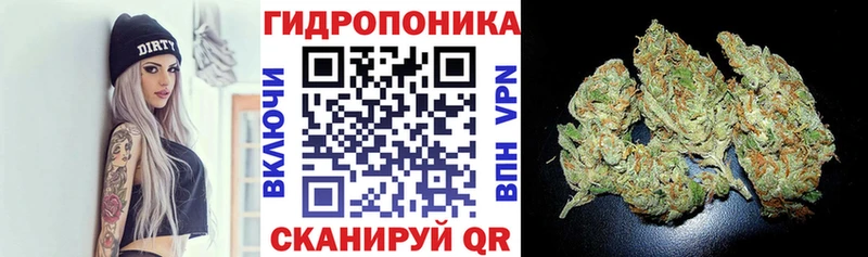 блэк спрут вход  Перевоз  МАРИХУАНА план 